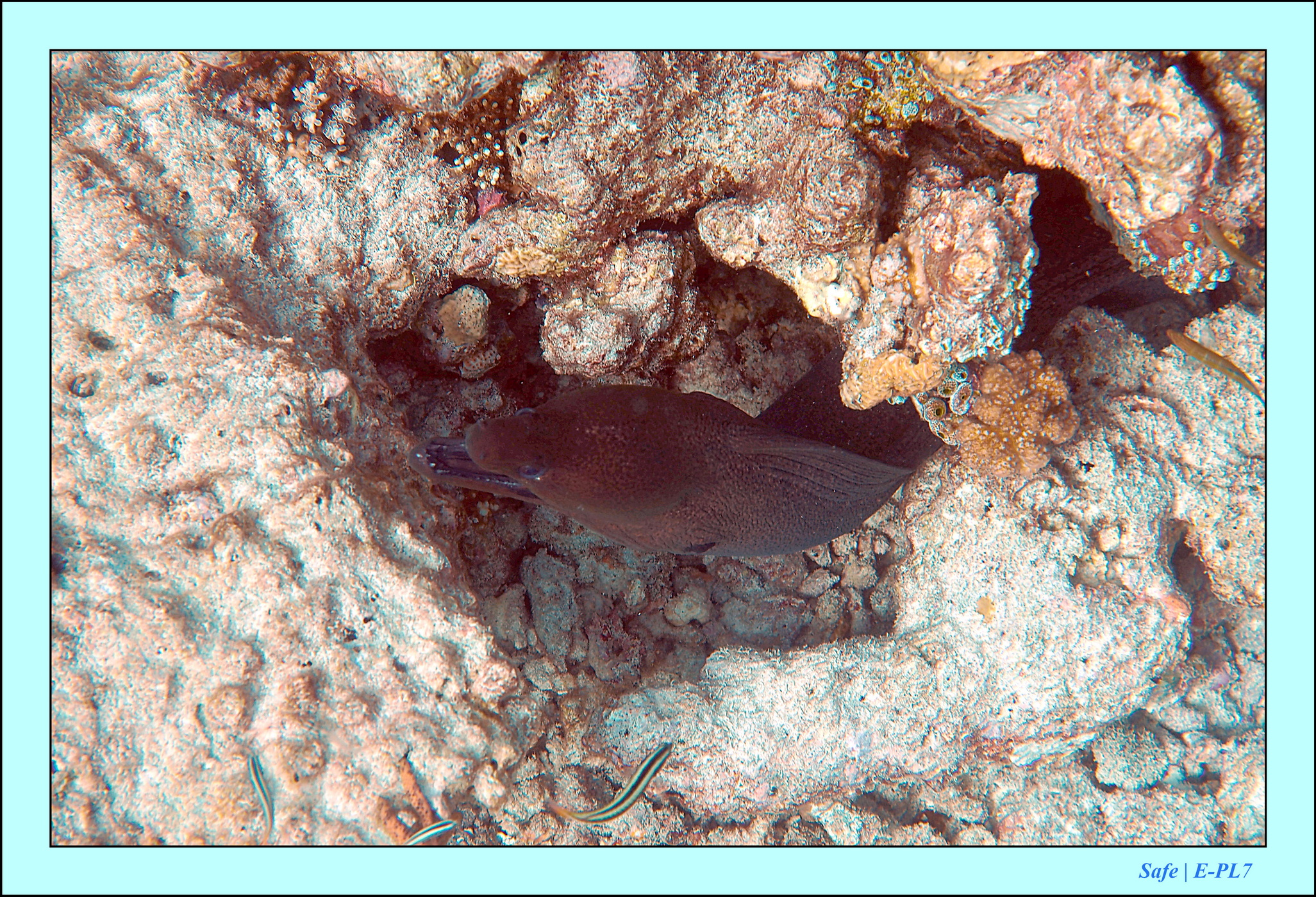 2023 - 07 - Sandies Bathala - 213